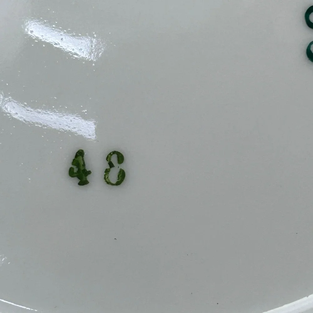 Favolina Karolina Jarolina Porcelain Salad Plate 3879 Floral Silver Scalloped 12